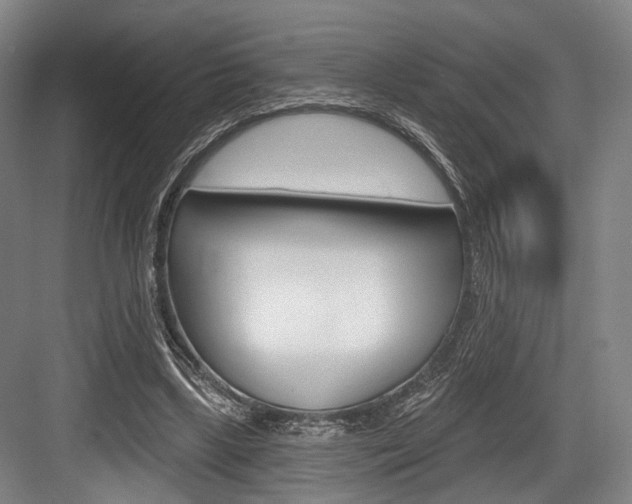X0000084020443200702160830