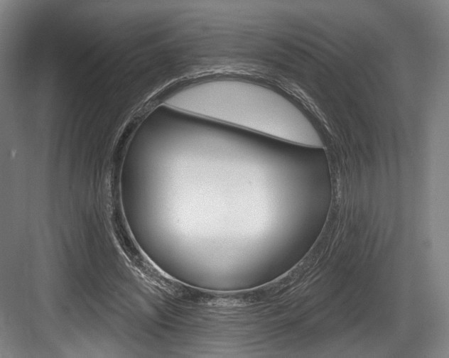 X0000084020444200702160830