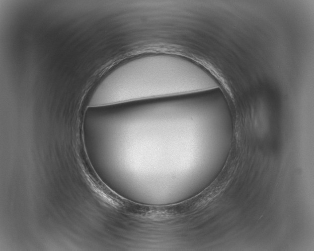 X0000084020445200702160830