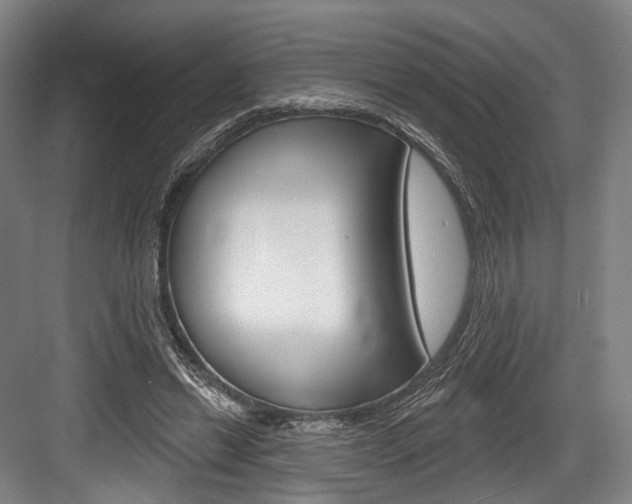 X0000084020446200702160830