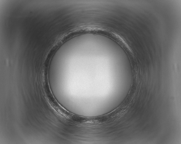 X0000084020447200702160830