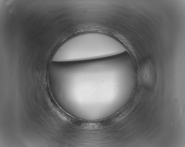 X0000084020449200702160830