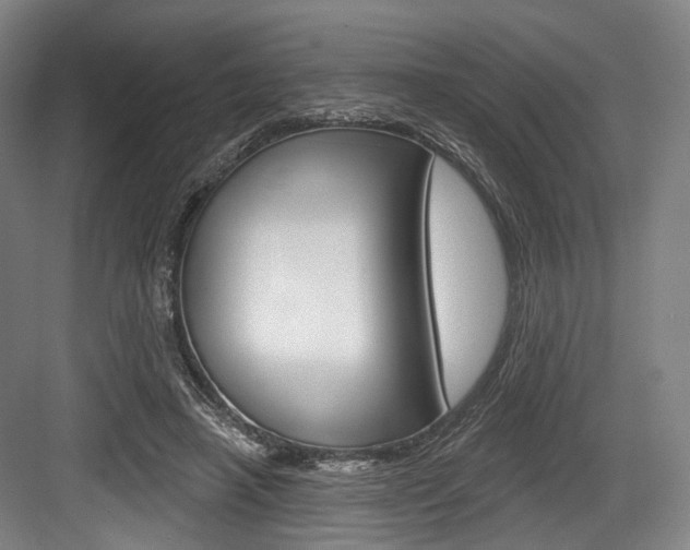 X0000084020450200702160830