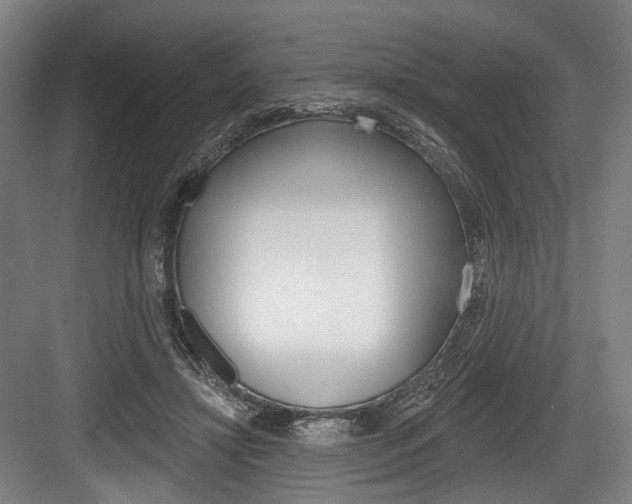 X0000084020452200702160830