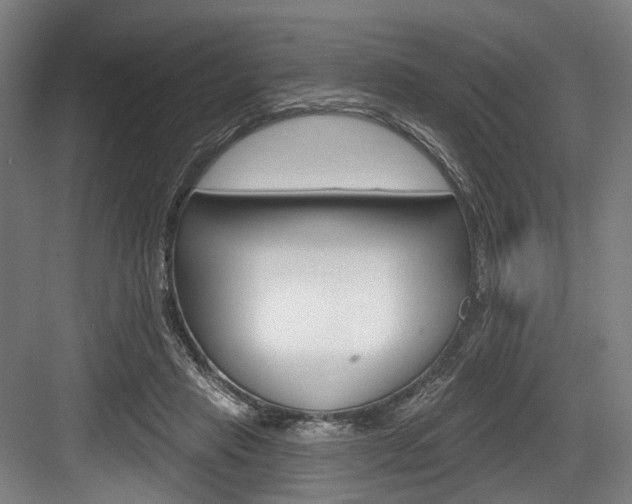X0000084020453200702160830