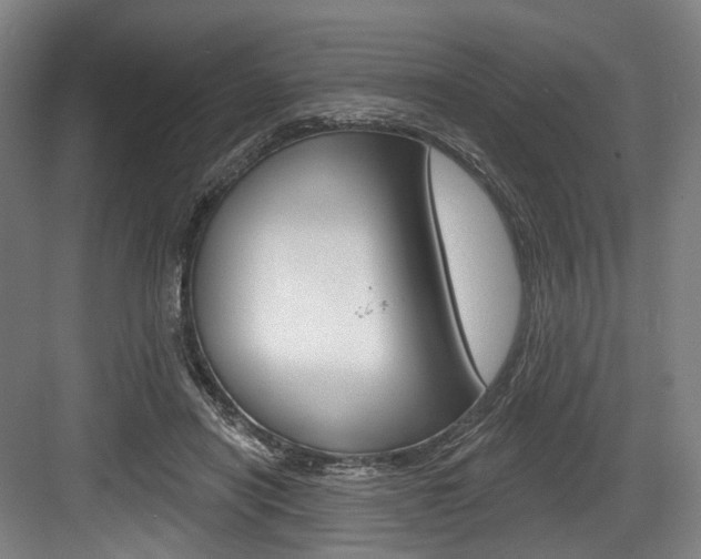 X0000084020454200702160830