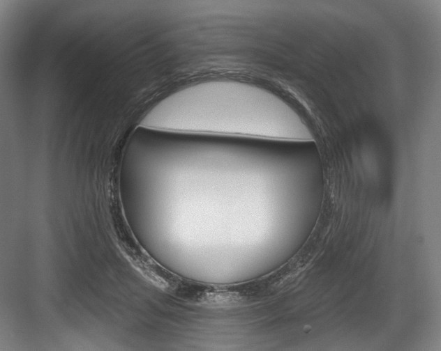 X0000084020455200702160830