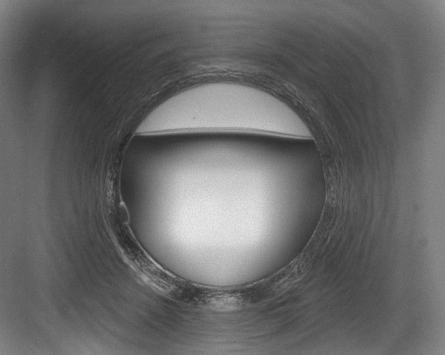 X0000084020456200702160830