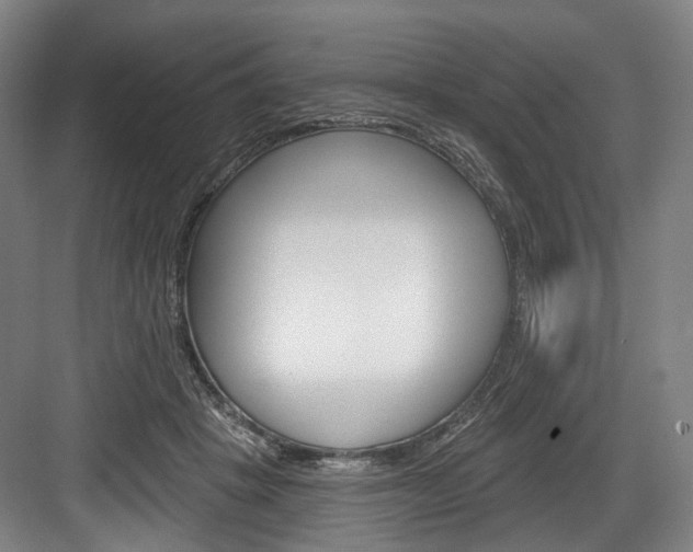 X0000084020457200702160830