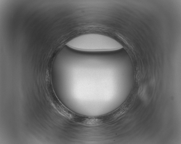 X0000084020459200702160831
