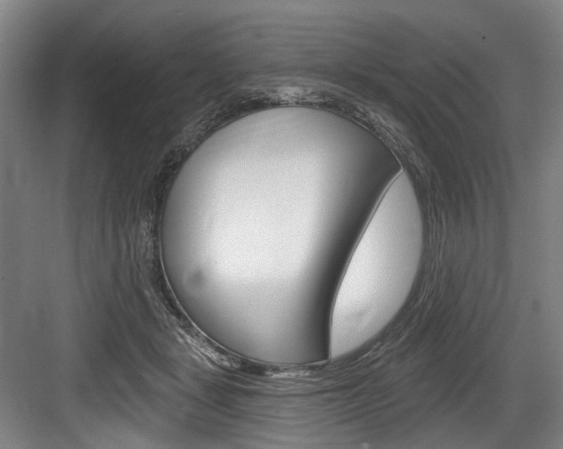 X0000084020461200702160831