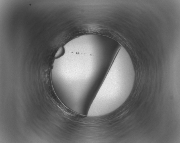 X0000084020462200702160831