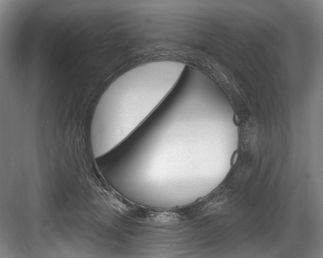 X0000084020463200702160831