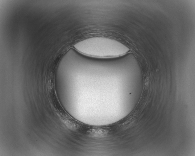 X0000084020464200702160831