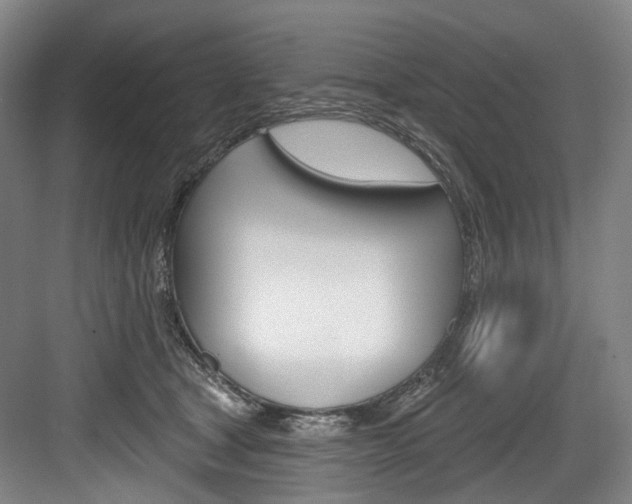 X0000084020465200702160831