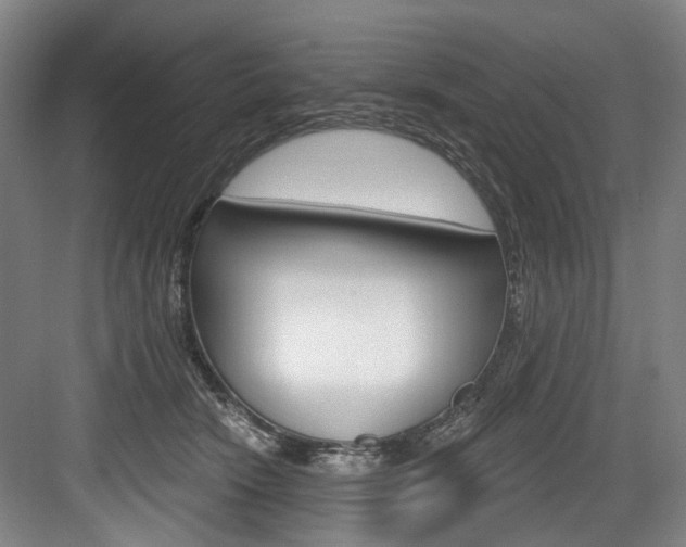 X0000084020466200702160831