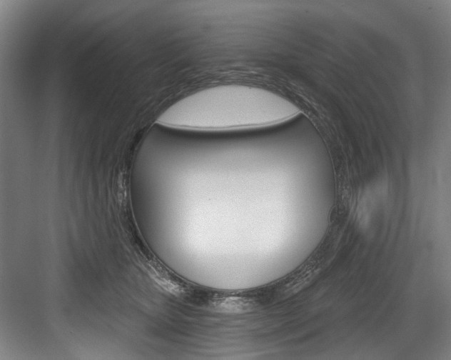 X0000084020467200702160831