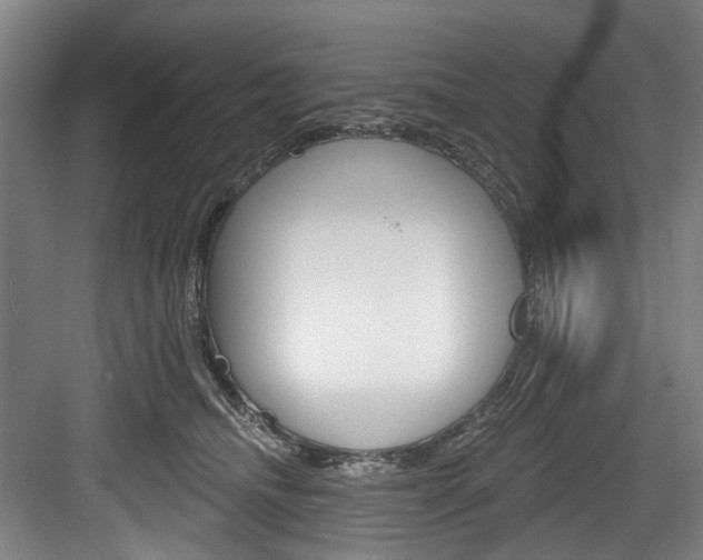X0000084020468200702160831