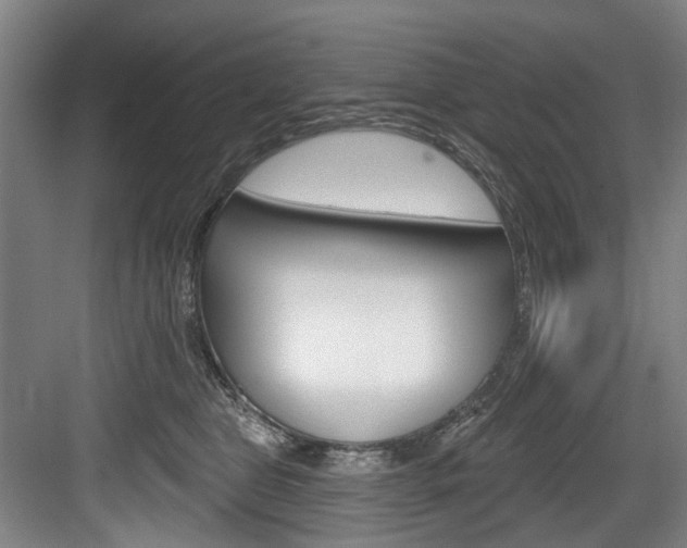 X0000084020469200702160831
