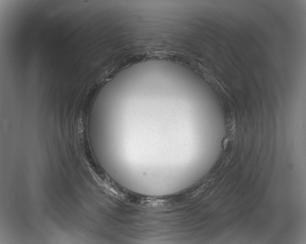X0000084020472200702160831