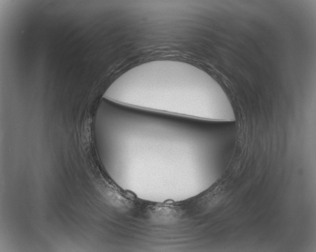 X0000084020475200702160831