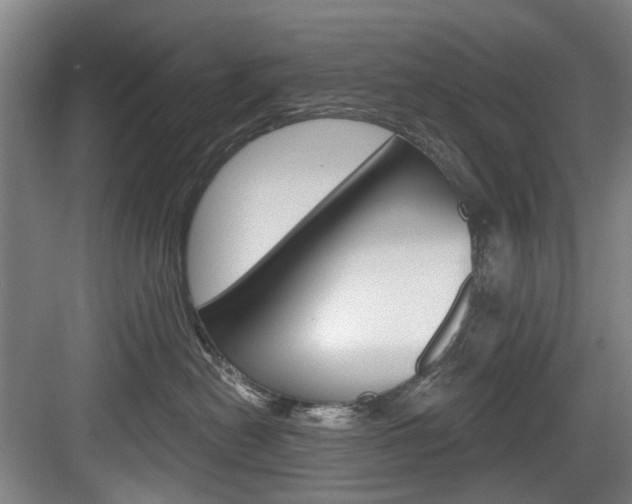 X0000084020478200702160831