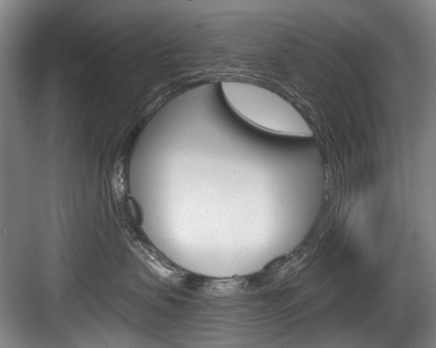X0000084020479200702160831