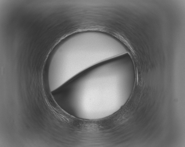 X0000084020483200702160830