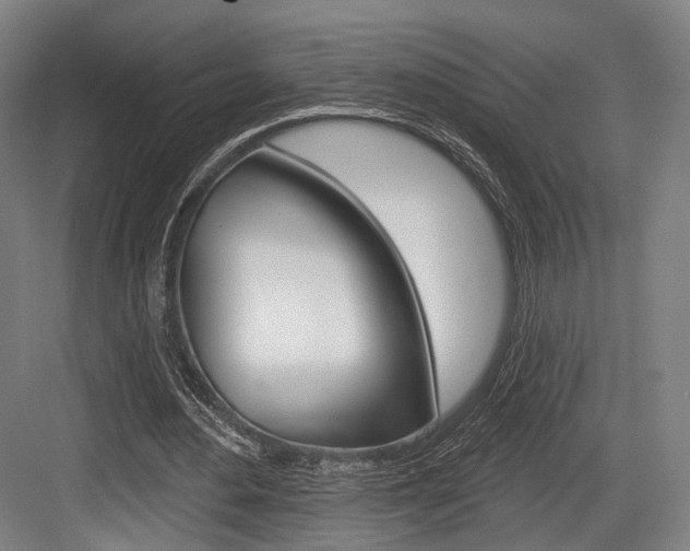 X0000084020484200702160830