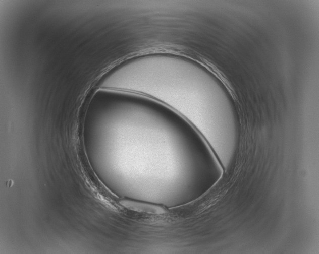 X0000084020485200702160830