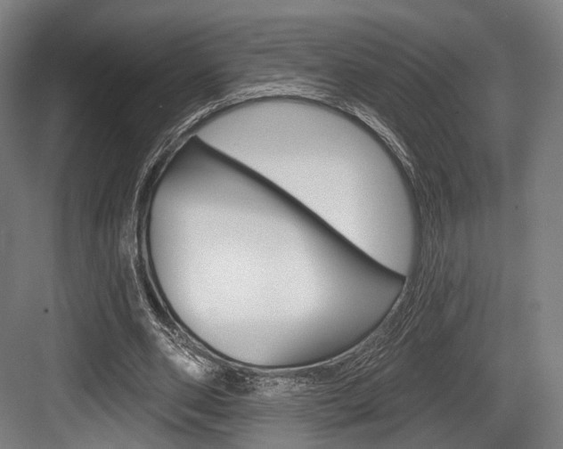 X0000084020486200702160830