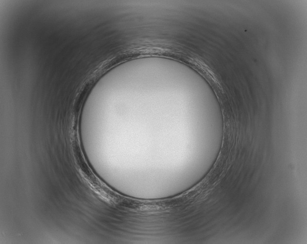 X0000084020490200702160830