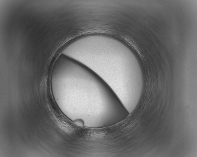 X0000084020491200702160830