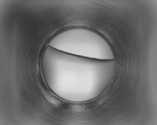 X0000084020494200702160830