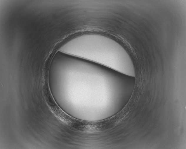 X0000084020496200702160830