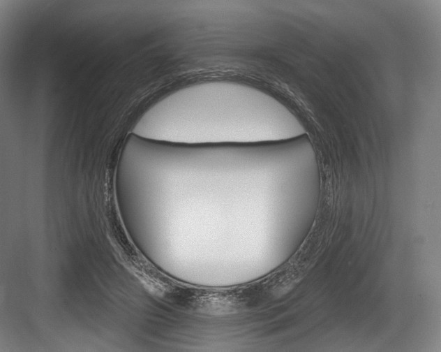 X0000084020498200702160830