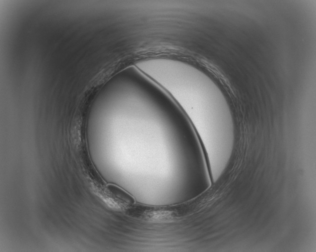X0000084020501200702160830