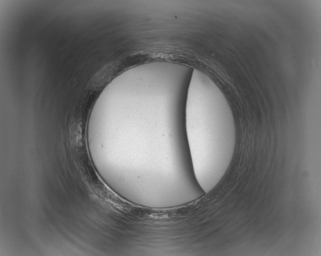 X0000084020502200702160830