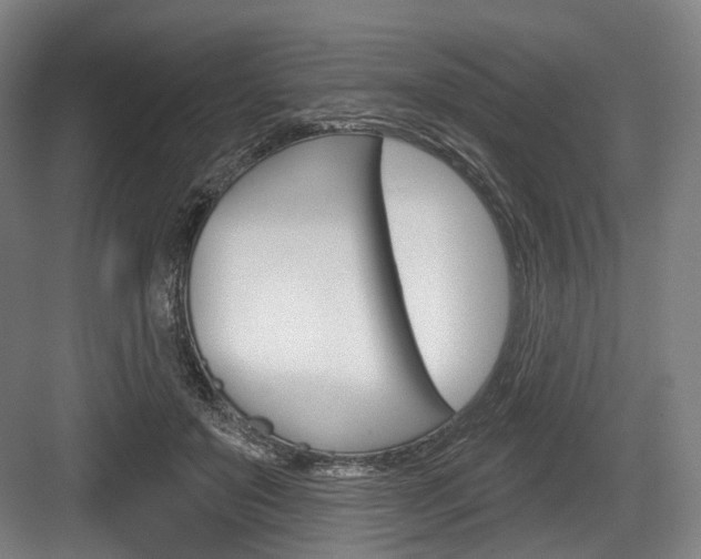X0000084020503200702160830