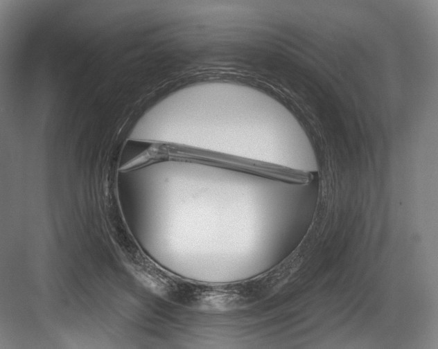 X0000084020504200702160830