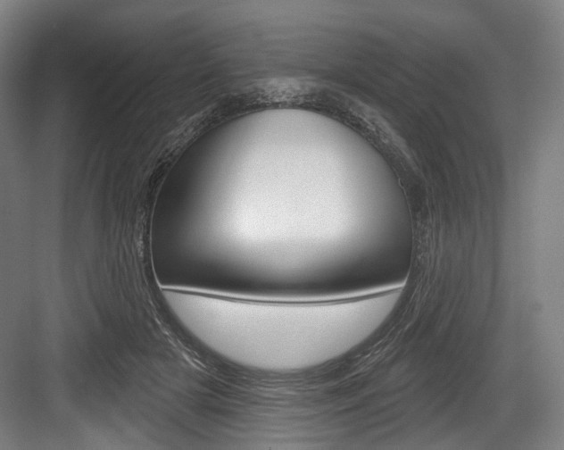 X0000084020505200702160830