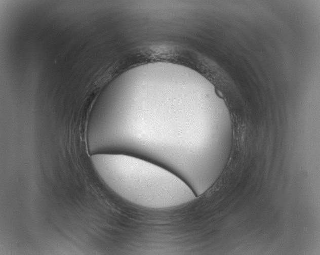 X0000084020506200702160830