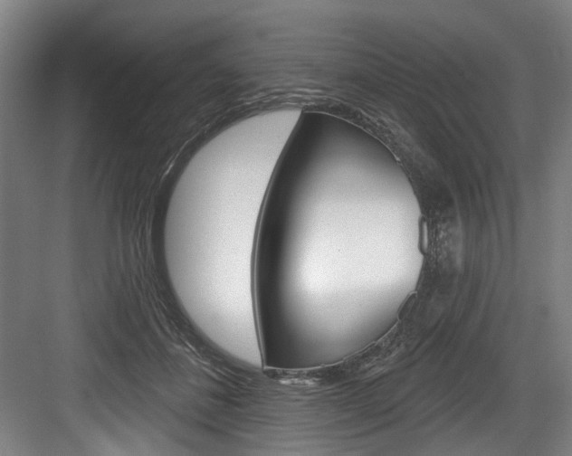 X0000084020508200702160830