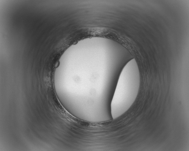 X0000084020510200702160830
