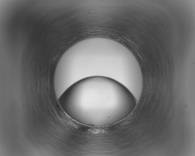 X0000084020512200702160830