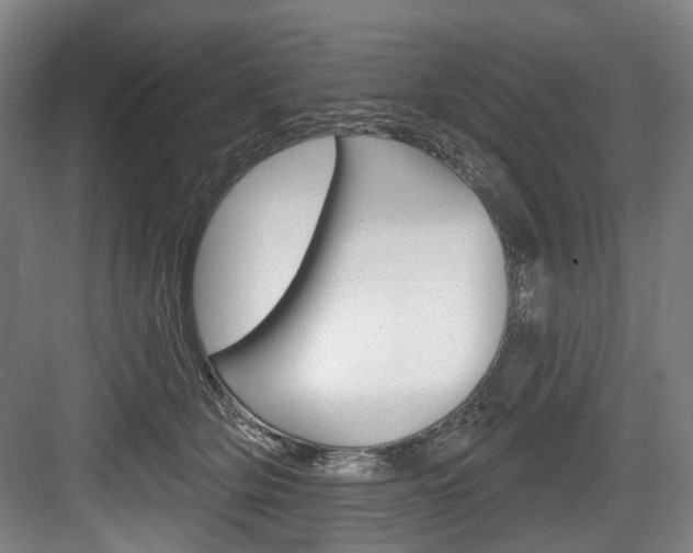 X0000084020514200702160830