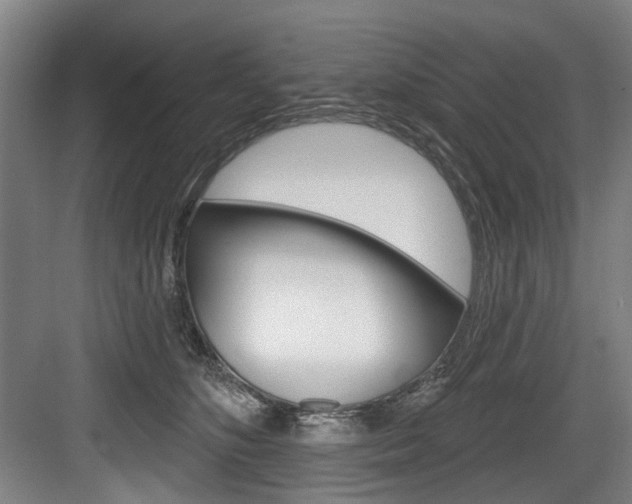 X0000084020516200702160829