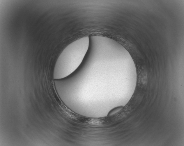 X0000084020518200702160829