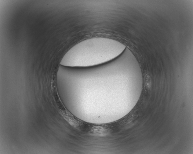 X0000084020519200702160829