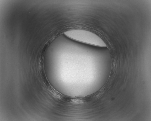 X0000084020520200702160829
